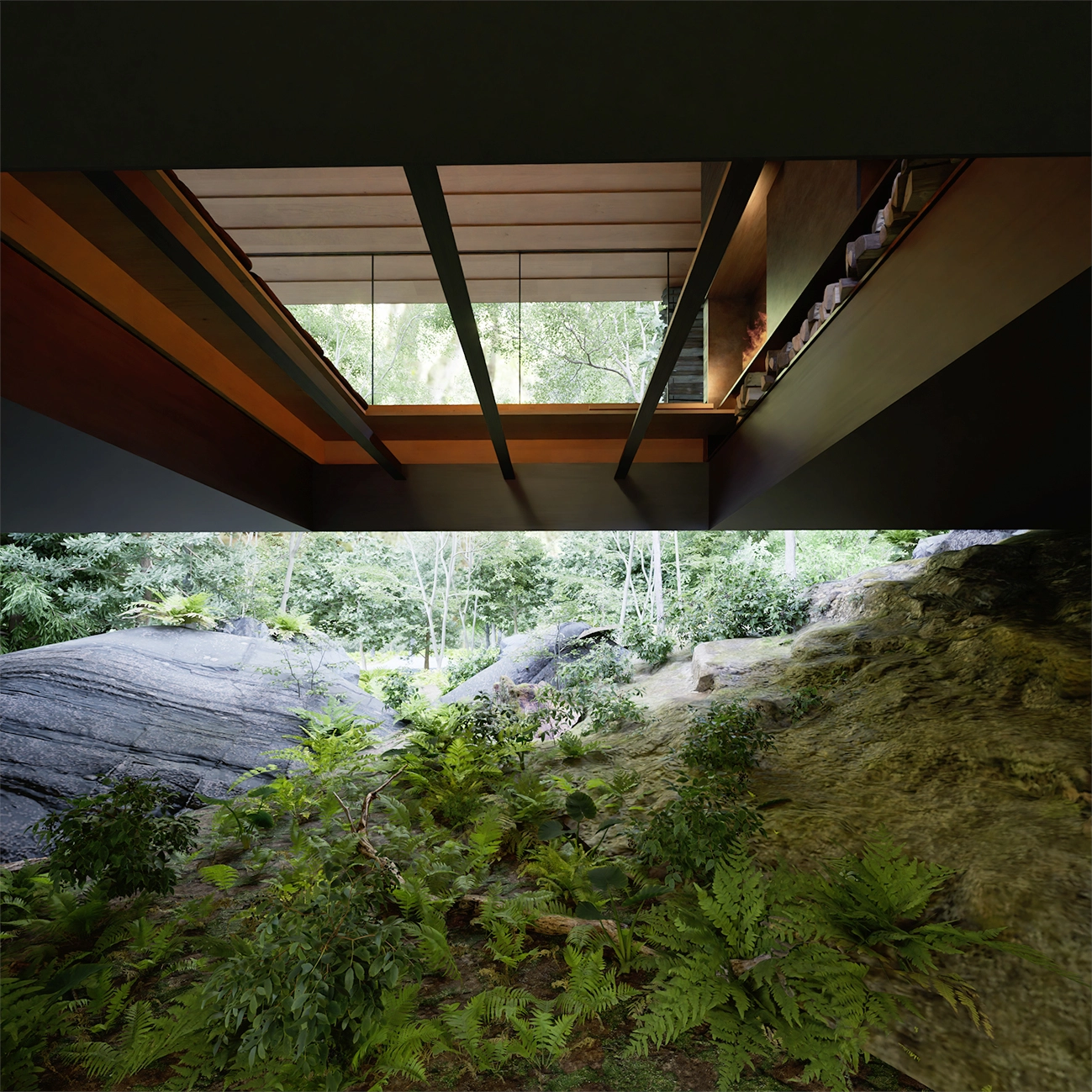 View from beneath Ukiya towards moss, ferns and rocks, revealing the forest floor below the suspended dwelling.