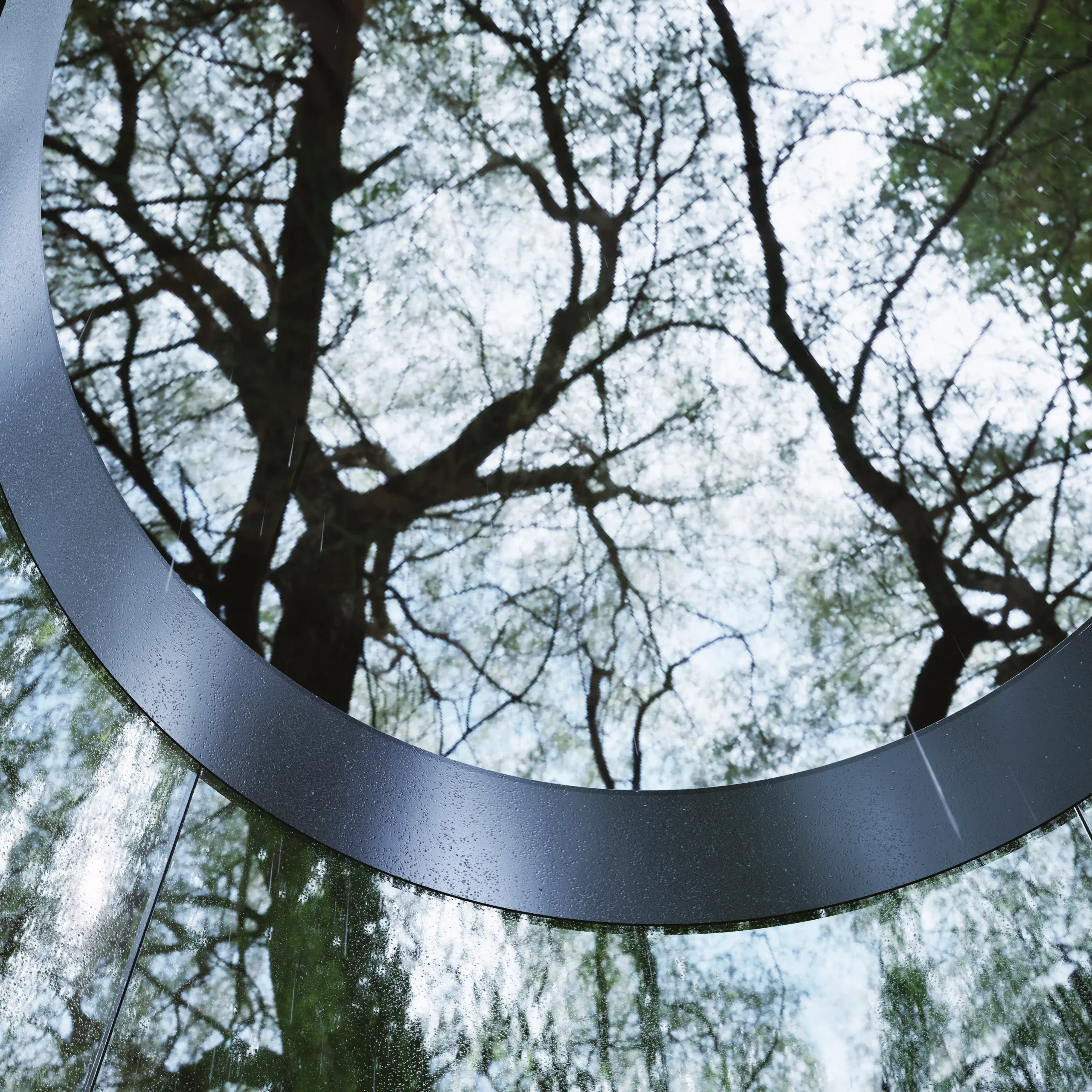 Upward view of tree canopies framed by a circular glass opening, creating a direct visual connection between house and forest.